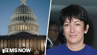 High profile men implicated in Epstein files &lsquo;trying to run for cover&rsquo;: Epstein survivor
