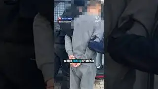 Zabił i uciekł. Sylwestrowa noc odebrała życie 37-letniej Anicie