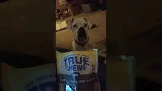 True Chews Dog Treats