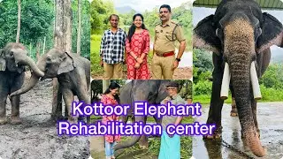 കോട്ടൂരിലെ ആന വിശേഷണങ്ങൾ|kottoor elephant rehabilitation center|sarisway