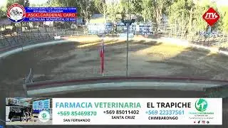 TERCERA SERIE CLUB MARCHIGUE COSTA