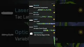 The OLD SPR, still good in WARZONE?