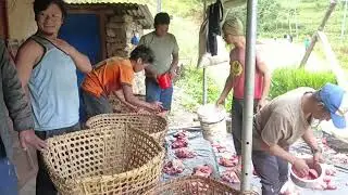 Dashain is celebrate with buffalo meat || happy dashain
