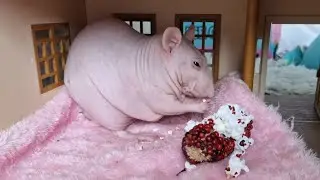 Naked dude being robbed by hairy beast