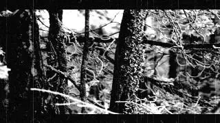 Infernal Blaze - Veiled Signals (new full length album preview)