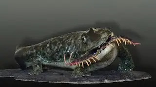 Amphibamus: A Key Link in Amphibian Evolution