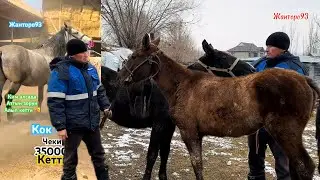 Адилеттен  коргуло +996-550-502-039. 19 января 2026 г.