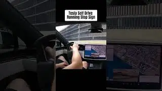 Tesla Self Drive Running Stop Sign ✋ 🛑