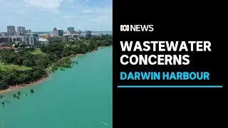 Mining company TNG scraps Darwin Harbour discharge plan after Paspaley pressure | ABC News