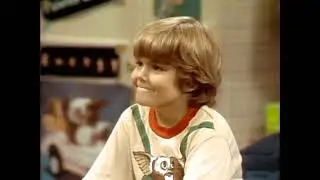 Small Wonder  
