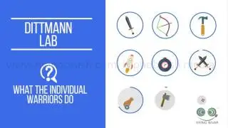 2d demonstration video for medical students