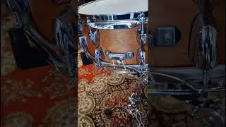 Yamaha Birch Custom Absolute 14x5,5 @Rimocc