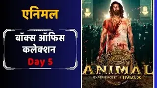 Animal Day 5 Worldwide Box Office Collection |  Animal Box Office Collection India Ranbir Kapoor