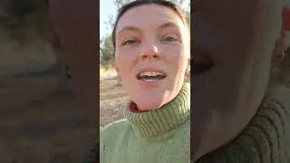 POV te mudas al campo y vendes aceite de oliva virgen extra de tus olivos