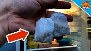 Положите чайные пакетики в холодильник и ПОСМОТРИТЕ, ЧТО ПРОИСХОДИТ 💥 (неожиданно)