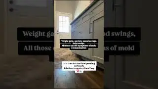 ⚠️ Mold contamination is dangerous  #floodbarriers #flashflood #dameasy #floodproofing #flood
