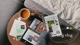 bog vlog | drumburgh moss ✸