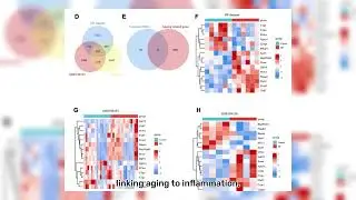Identification of ageing associated gene signature
