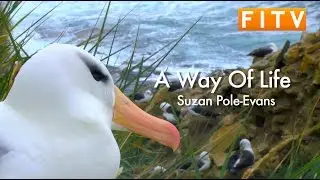A Way of Life: Suzan Pole-Evans