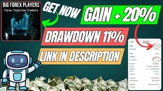 Big Forex Players EA &ndash; Multi-Strategy Trading Robot for Bank Positions