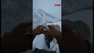 A ranger finds a living eagle chick beneath its frozen mother&mdash;heartbreaking yet hopeful rescue ❄️