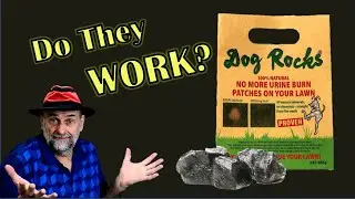 Камни для собак &mdash; предотвращают появление пятен мочи на газоне?