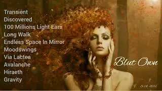 Future Garage / Blut Own / Best Tracks / S. A. Mix