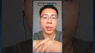 Low-latency Voice Activity Detection (VAD) is key to conversational AI.