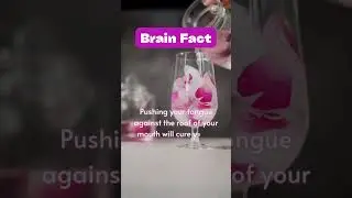 Body Fact -Brain Fact #shorts #brainpower #fun