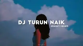 Turun Naik (slowed+reverb) | Dj Turun Naik | Tiktok Remix | Indo Remix
