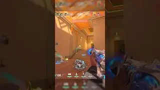 Insane phoenix ACE
