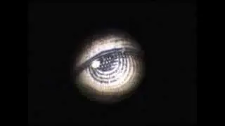 A short video from the NEW 