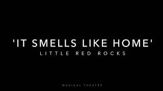 Marc Sambola . IT SMELLS LIKE HOME . Little Red Rocks