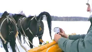 KONIE KUPA KUP i ŚNIEGU SANIE