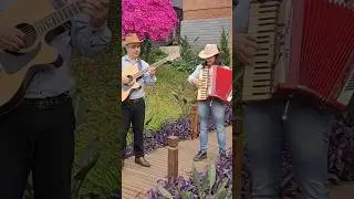 MUSICA SERTANEJA ANTIGA/ROSI & MARINHO #musica #sertanejo #vozviolao #vozemharmonia #musicabrasil