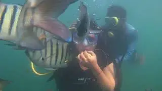 My First Scuba Diving Experience in Malvan 🤿 | Clear Water & Crazy Fun! #kokan #malvan #scubadiving 