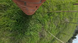 Drone FPV Cinelog20, 4S, o3 | Treino Freestyle #11 | @FlyBirdFilms