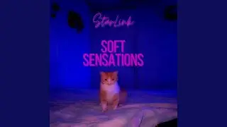 Soft Sensations