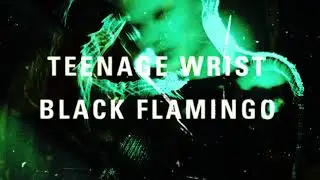 Teenage Wrist - 