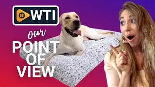 KSIIA Washable Dog Beds | Our Point Of View