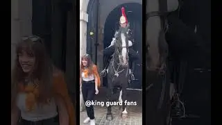 Hilarious Reaction: Girl's Funny Response to Horse's Playful Head Boop! #FunnyMoments #UnexpectedFun