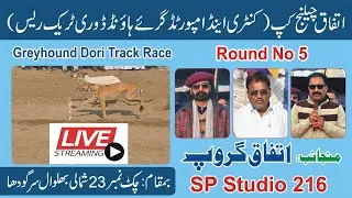 Live Dori Track Race || Round No 5 ||  23 Chak Sargodha ||  #dog #dori #pets