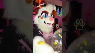 and many more furry birthdays to come 😌🥳 #furries #fursuit