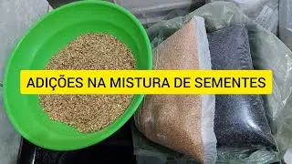 REPRODUÇÃO DE CANÁRIOS #24 - ADIÇÕES NA MISTURA DE SEMENTES