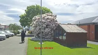 Let's explore Waimate, New Zealand