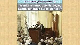 1979-09-28A sc112-06 İnsanların kumral, siyah, beyaz, sarışın olmasının sebepleri nedir?