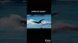 justice for Jessica #ripjessica #jessica #jesica #orca