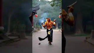 Wild Grooves: Tigers Dancing to Their Own Beat