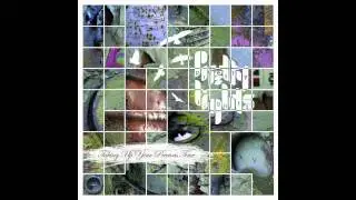 Pretty Lights - Stay - Taking Up Your Precious Time