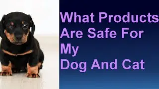 What Over The Counter Products Are Safe For Dogs and Cats